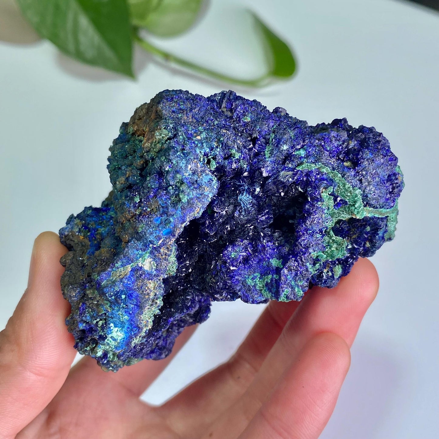 Azurite with Malachite Specimen, Blue Malachite Geode, Rare Minerals Collection,Gift for Mom