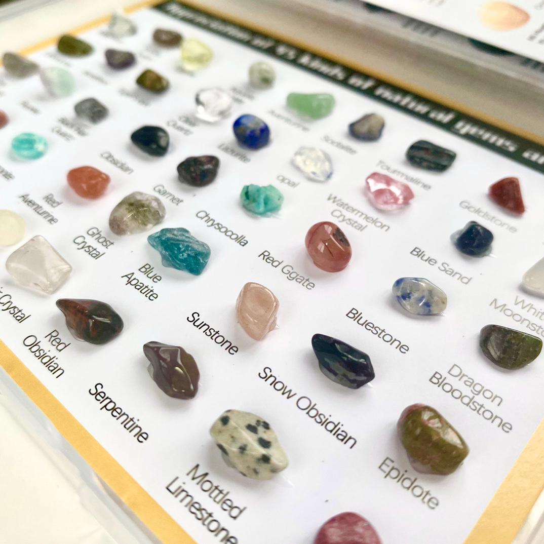 Raw Crystal Collection Box, 5 Mixed Mineral Specimens, Natural Gemstone Identification Set, Educational Geology Science Gift