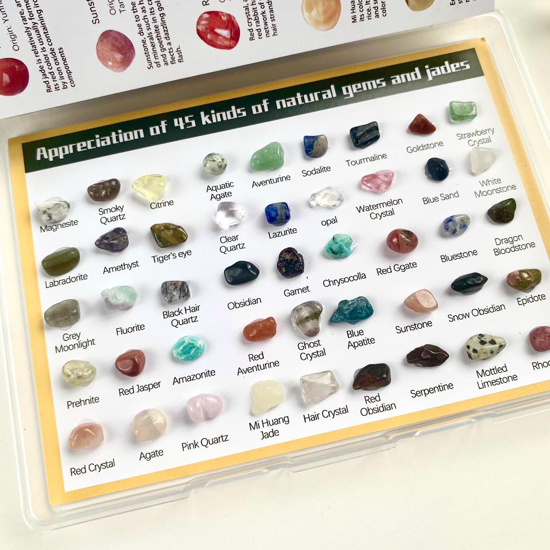 Raw Crystal Collection Box, 5 Mixed Mineral Specimens, Natural Gemstone Identification Set, Educational Geology Science Gift