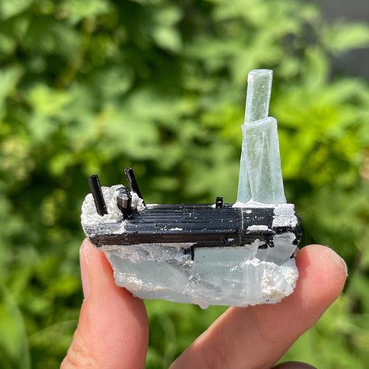 Natural Aquamarine with Black Tourmaline Specimen, Rare Crystal Aquamarine Specimen Collection, Tourmaline Specimen, Crystal Specimen Gift