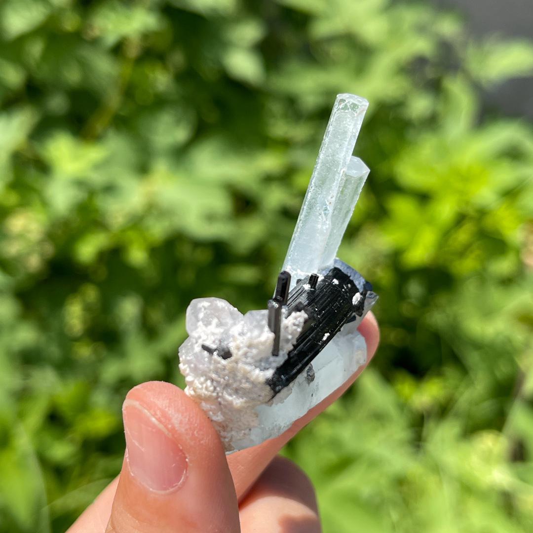 Natural Aquamarine with Black Tourmaline Specimen, Rare Crystal Aquamarine Specimen Collection, Tourmaline Specimen, Crystal Specimen Gift