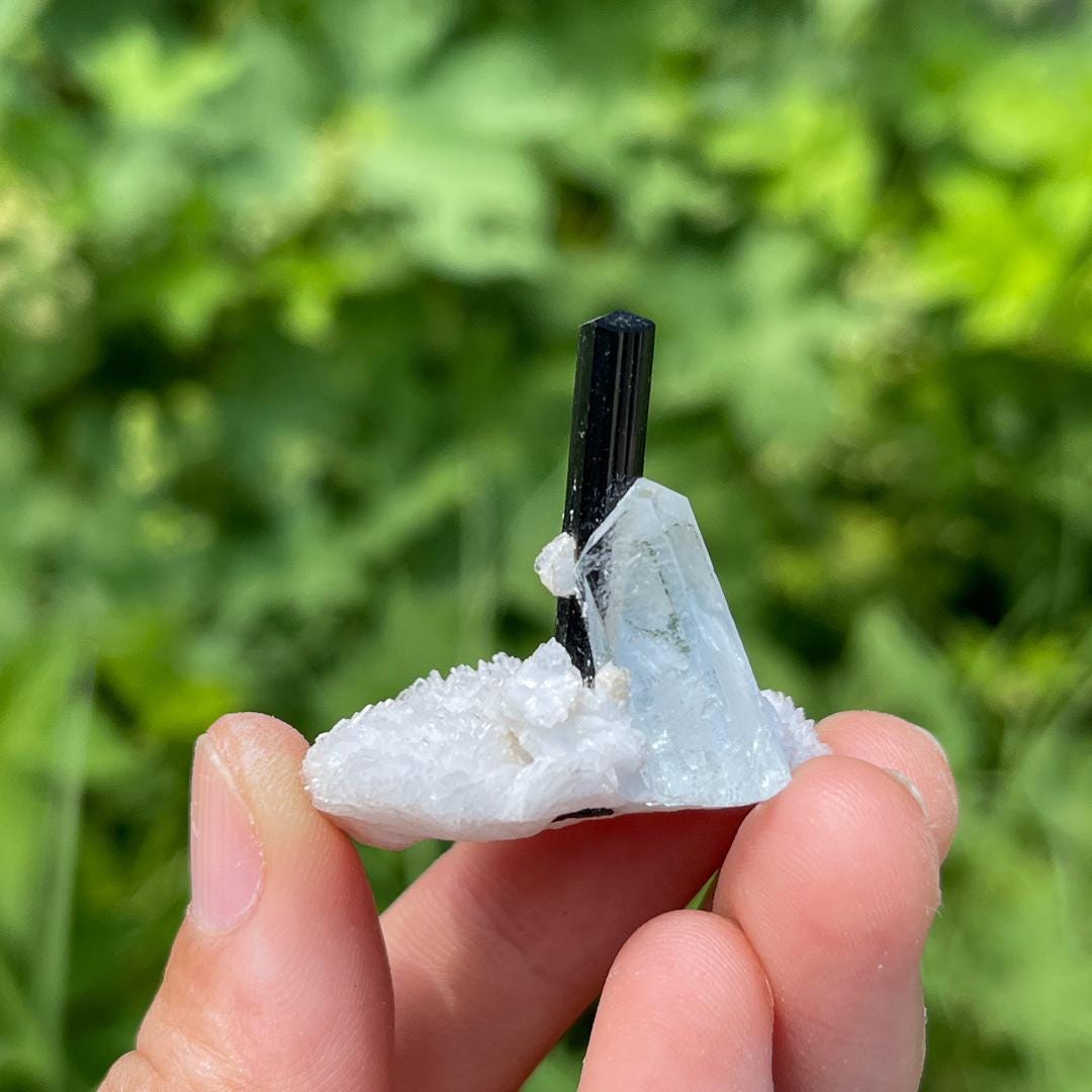 Natural Aquamarine with Black Tourmaline Specimen,Crystal Aquamarine Specimen Collection,Tourmaline Specimen,Crystal Cluster Specimen Gift