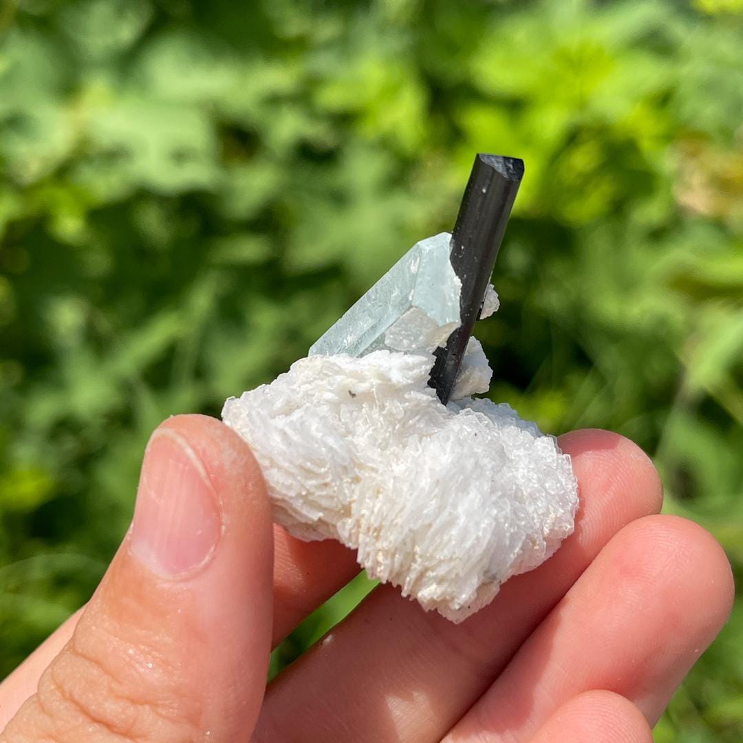 Natural Aquamarine with Black Tourmaline Specimen,Crystal Aquamarine Specimen Collection,Tourmaline Specimen,Crystal Cluster Specimen Gift
