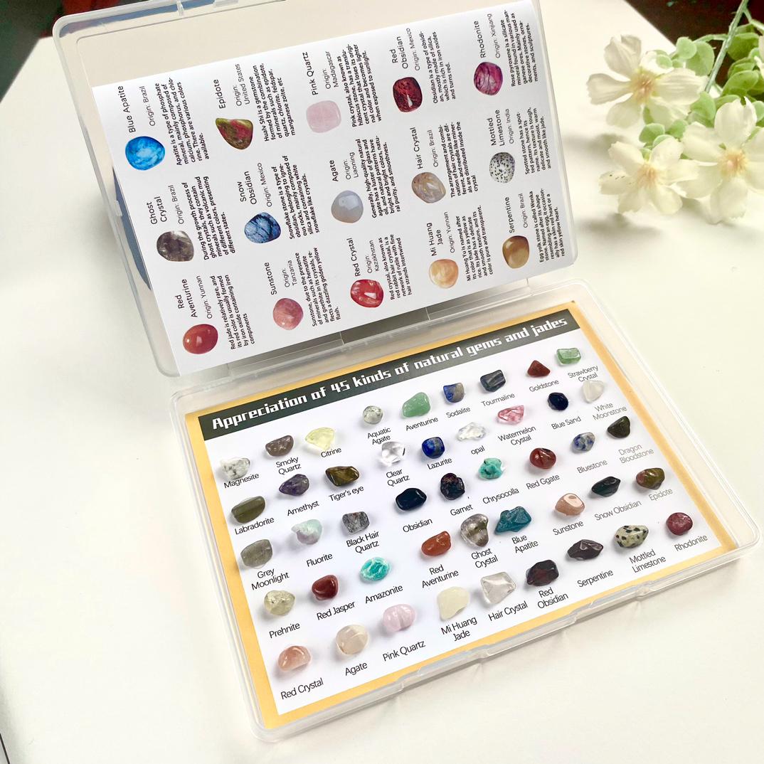 Raw Crystal Collection Box, 5 Mixed Mineral Specimens, Natural Gemstone Identification Set, Educational Geology Science Gift