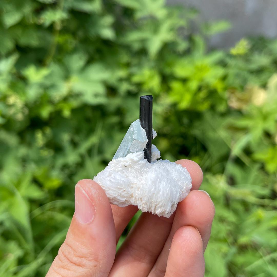 Natural Aquamarine with Black Tourmaline Specimen,Crystal Aquamarine Specimen Collection,Tourmaline Specimen,Crystal Cluster Specimen Gift