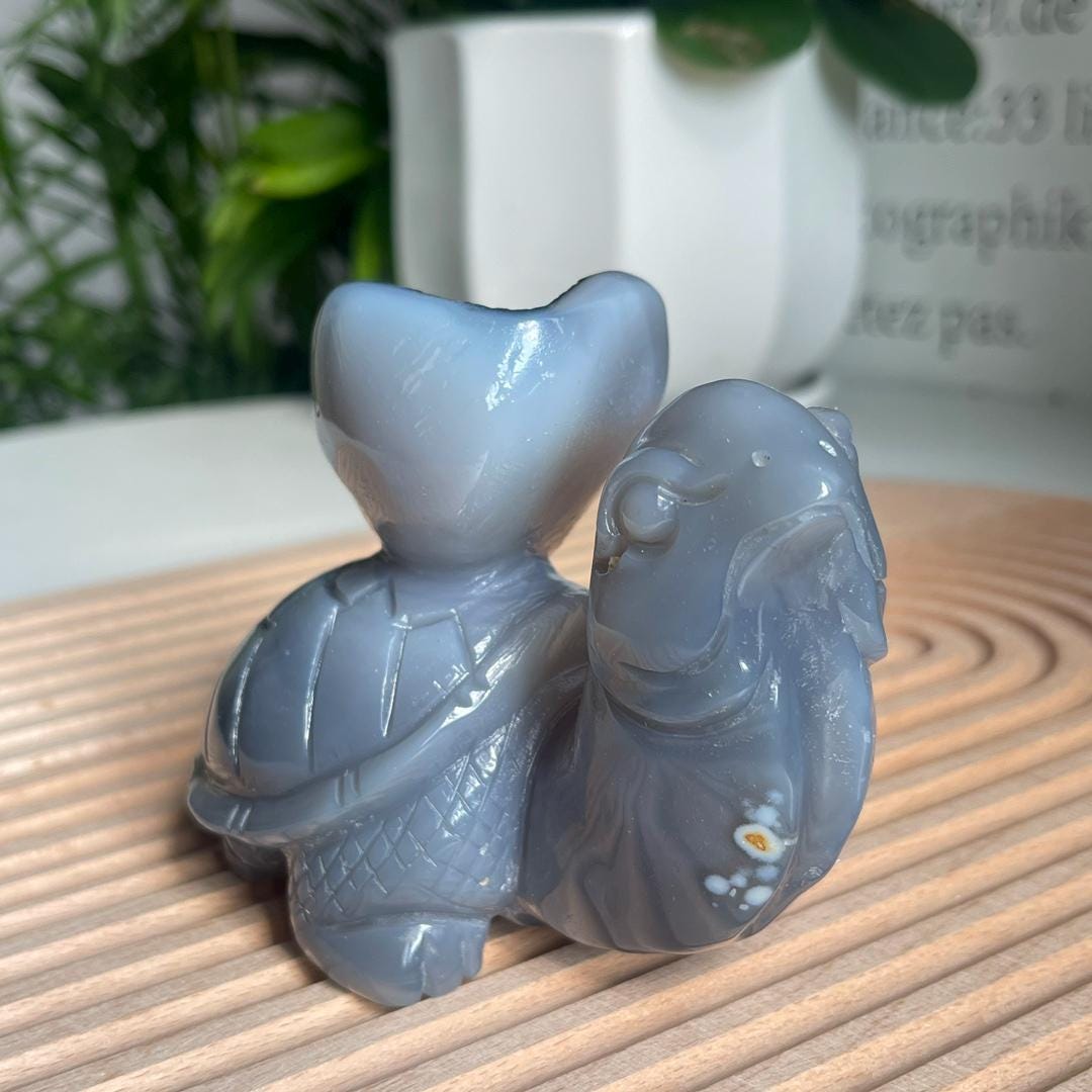 Natural Druzy Agate Turtle Carving, Crystal Statue, Home Decoration,Gift for Mom