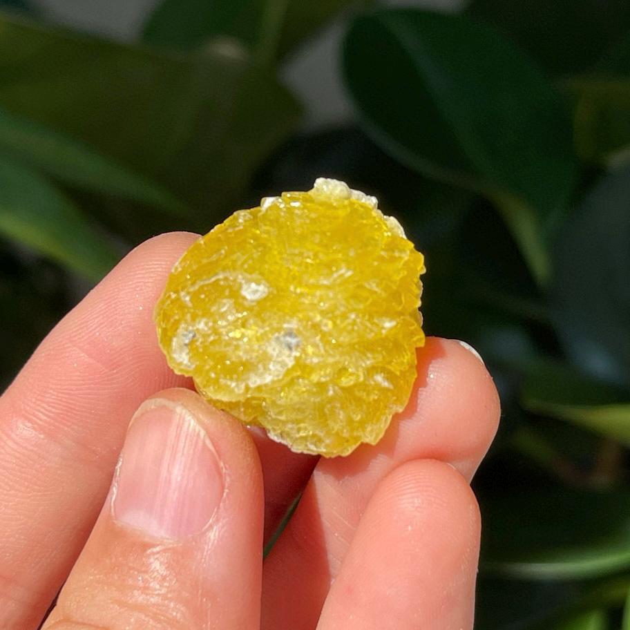 Natural Brucite Specimen, Rare Raw Brucite Balochistan Pakistan, Natural Yellow/Lemon Color Raw Brucite, Mineral Specimen Gift for Women