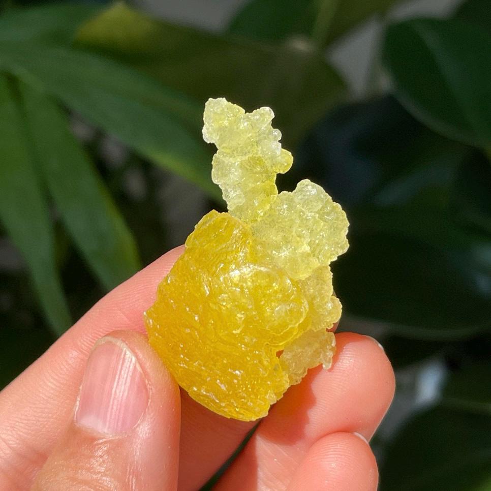 Natural Brucite Specimen, Rare Raw Brucite Balochistan Pakistan, Natural Yellow/Lemon Color Raw Brucite, Mineral Specimen Gift for Women
