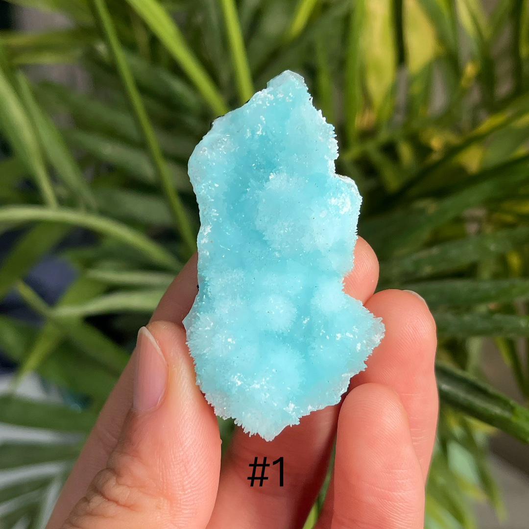 Blue Aragonite Specimen, Rare Healing Crystal Collection