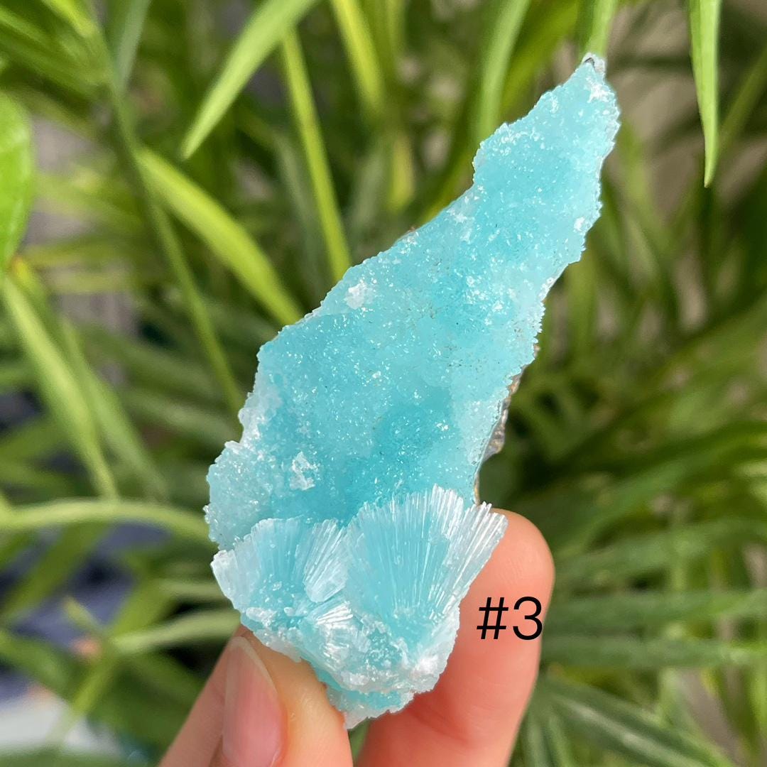 Blue Aragonite Specimen, Rare Healing Crystal Collection