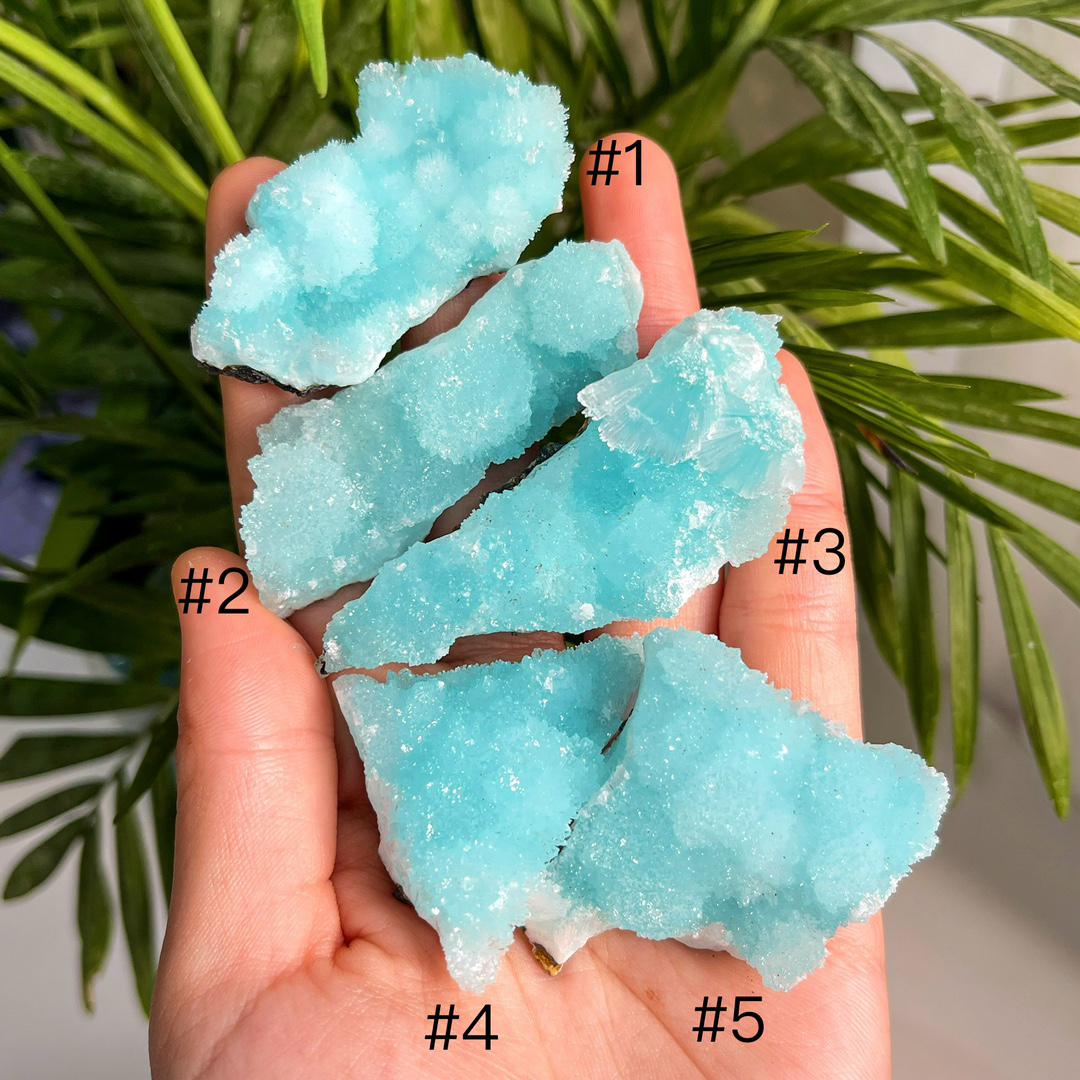 Blue Aragonite Specimen, Rare Healing Crystal Collection