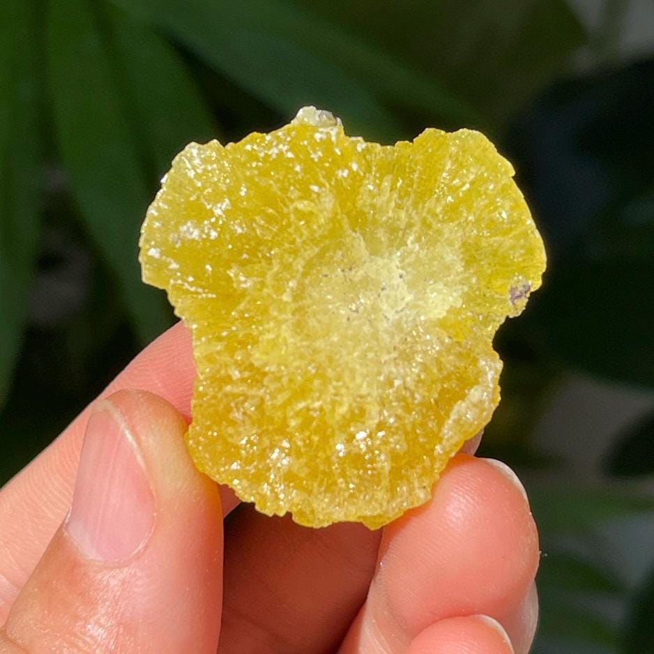 Natural Brucite Specimen, Rare Raw Brucite Balochistan Pakistan, Natural Yellow/Lemon Color Raw Brucite, Mineral Specimen Gift for Women