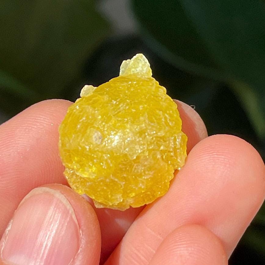 Natural Brucite Specimen, Rare Raw Brucite Balochistan Pakistan, Natural Yellow/Lemon Color Raw Brucite, Mineral Specimen Gift for Women