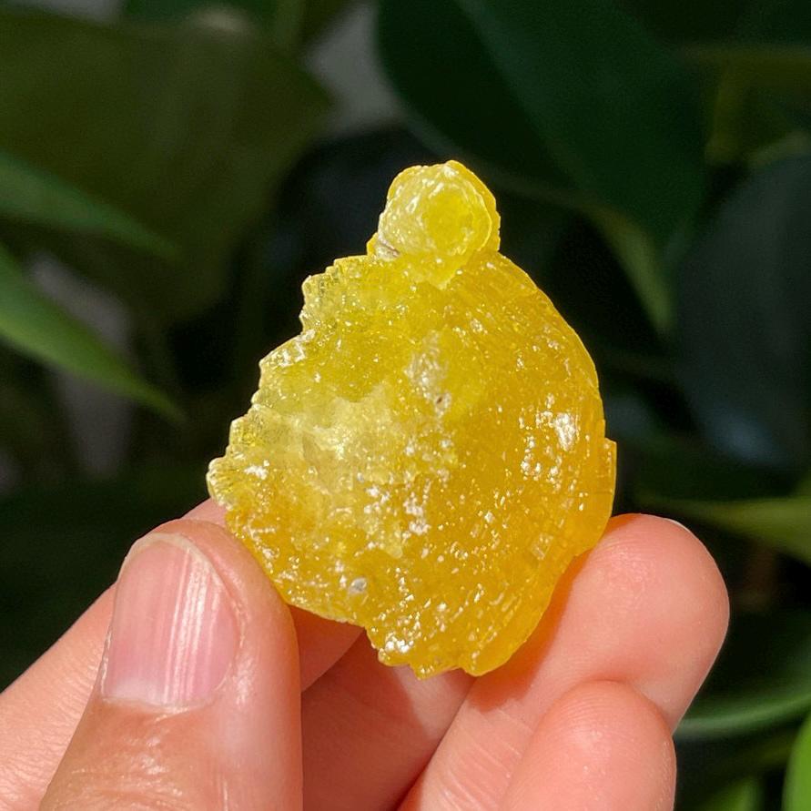 Natural Brucite Specimen, Rare Raw Brucite Balochistan Pakistan, Natural Yellow/Lemon Color Raw Brucite, Mineral Specimen Gift for Women