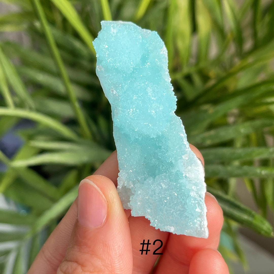 Blue Aragonite Specimen, Rare Healing Crystal Collection