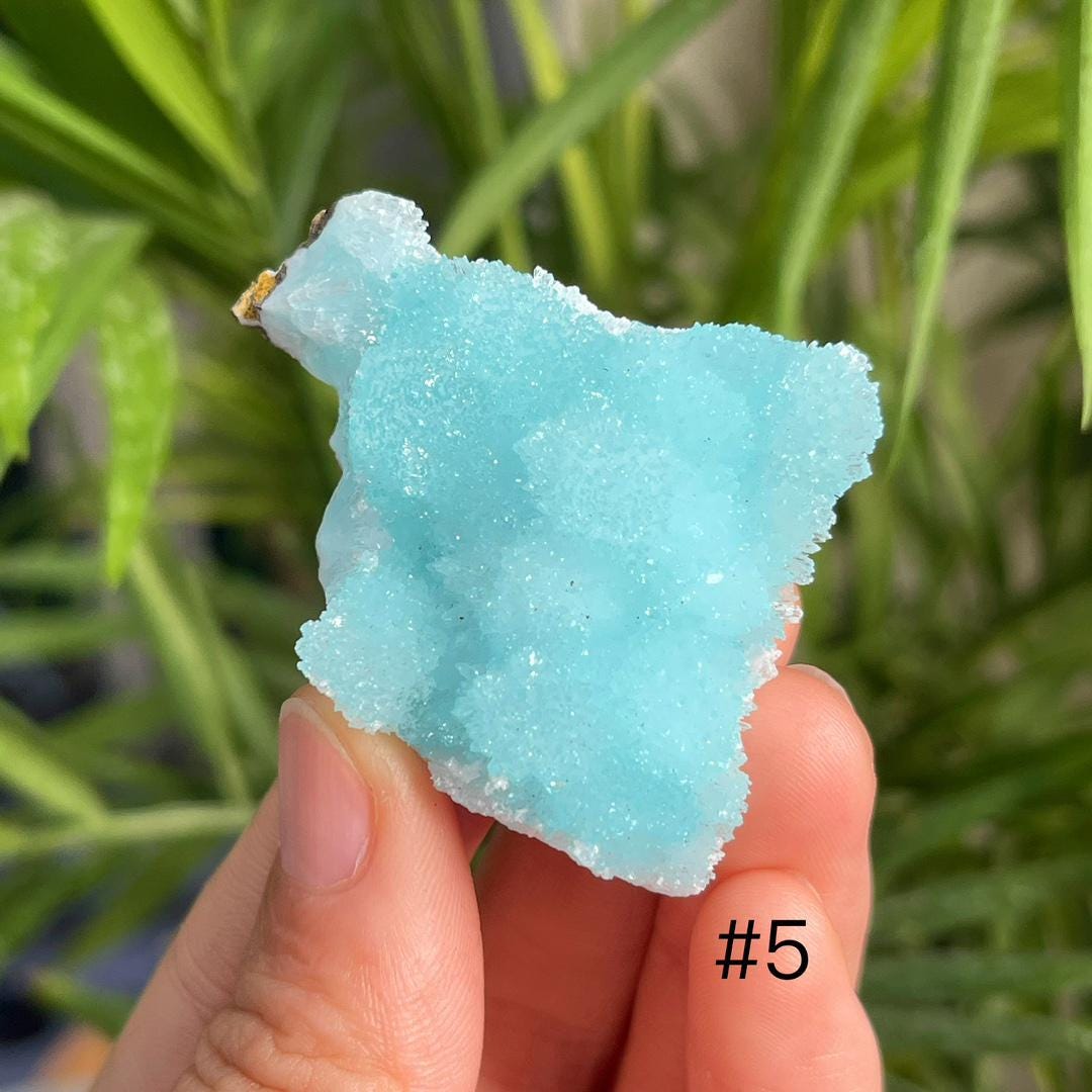 Blue Aragonite Specimen, Rare Healing Crystal Collection