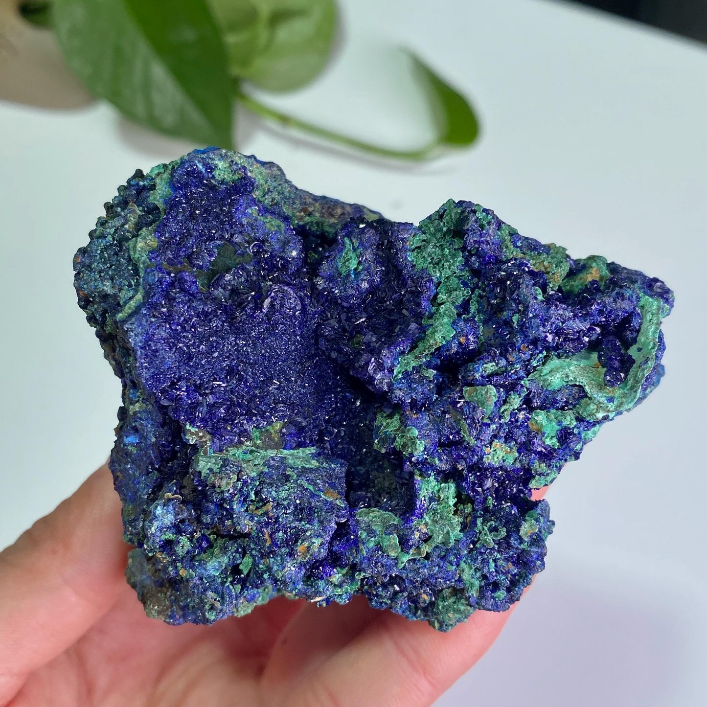 Azurite with Malachite Specimen, Blue Malachite Geode, Rare Minerals Collection,Gift for Mom