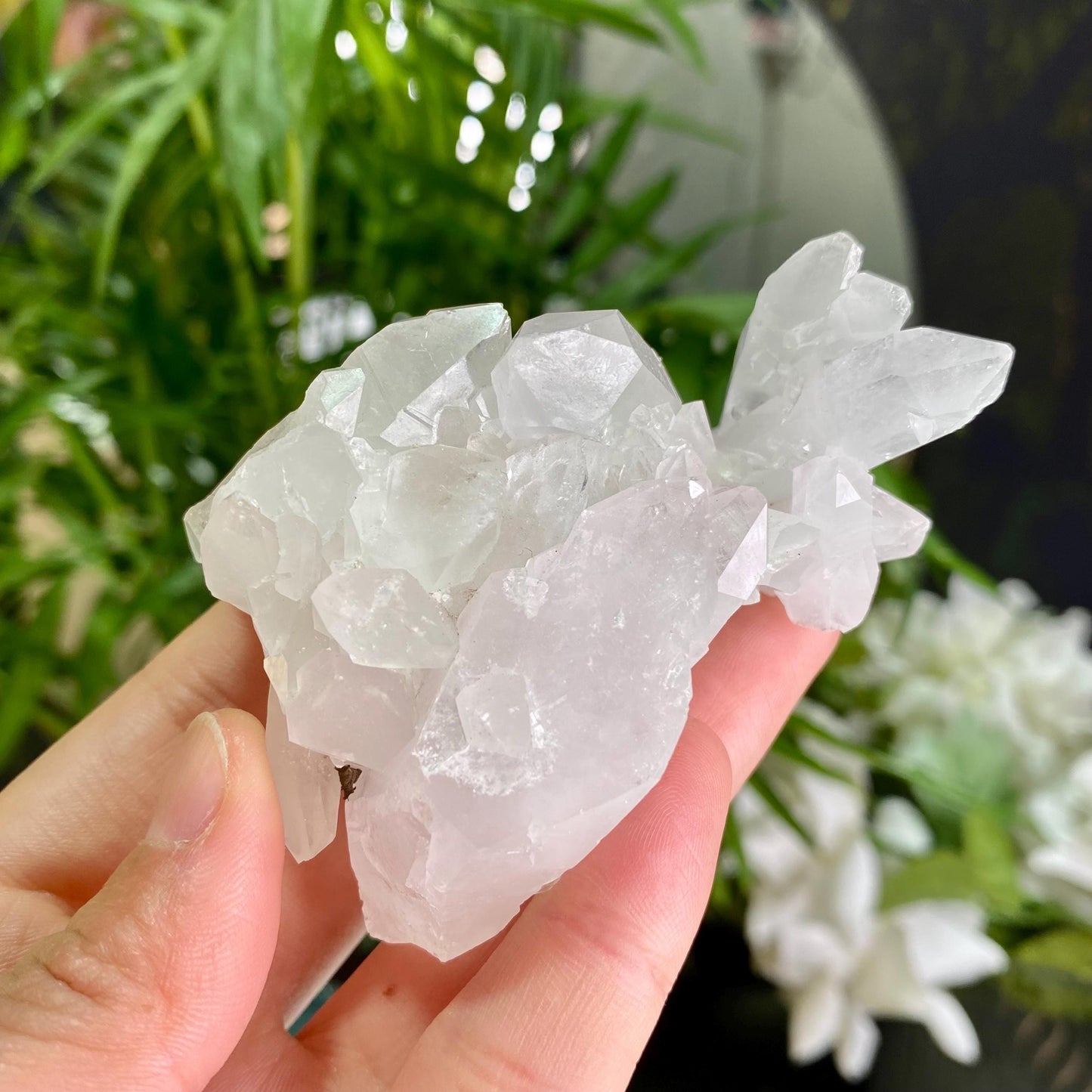 Natural Clear Quartz Cluster, Clear Quartz Flowers, Raw Crystal, Reiki Healing Spirituality Minerals, Crystal Collection, Gift for Her