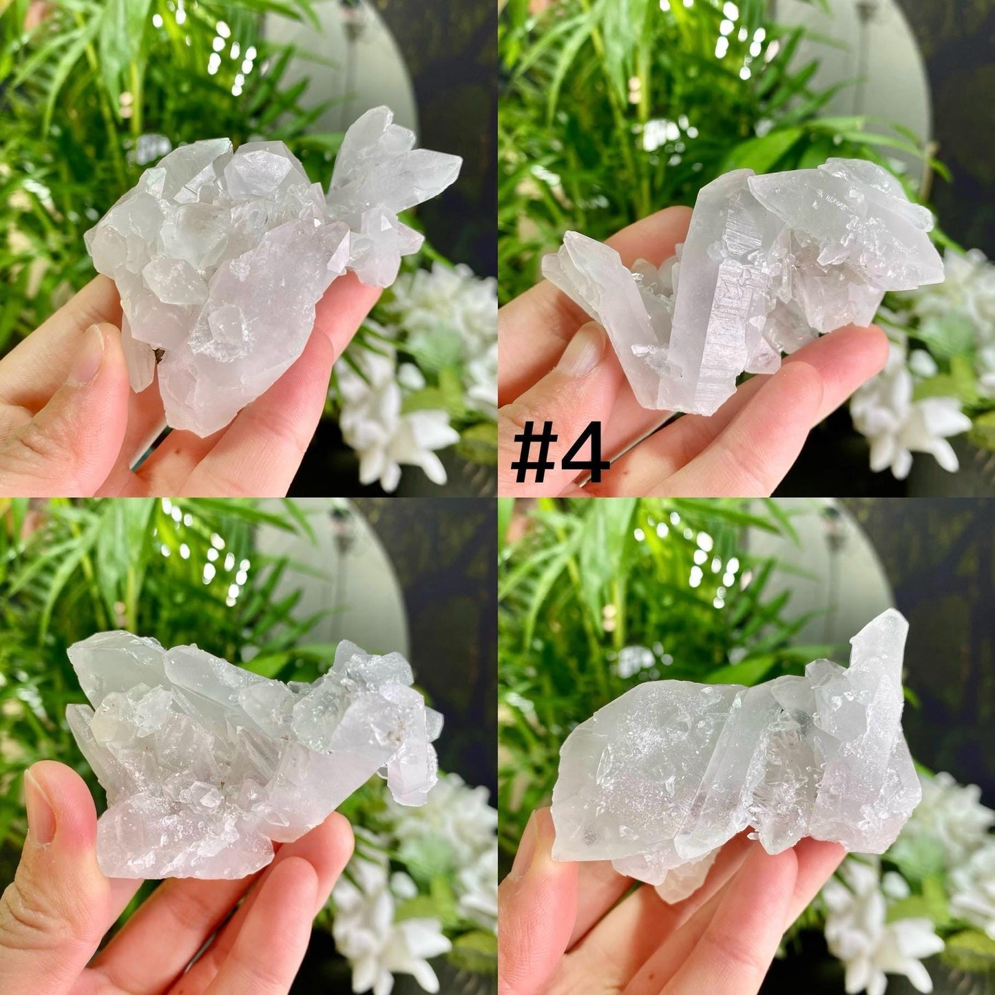 Natural Clear Quartz Cluster, Clear Quartz Flowers, Raw Crystal, Reiki Healing Spirituality Minerals, Crystal Collection, Gift for Her