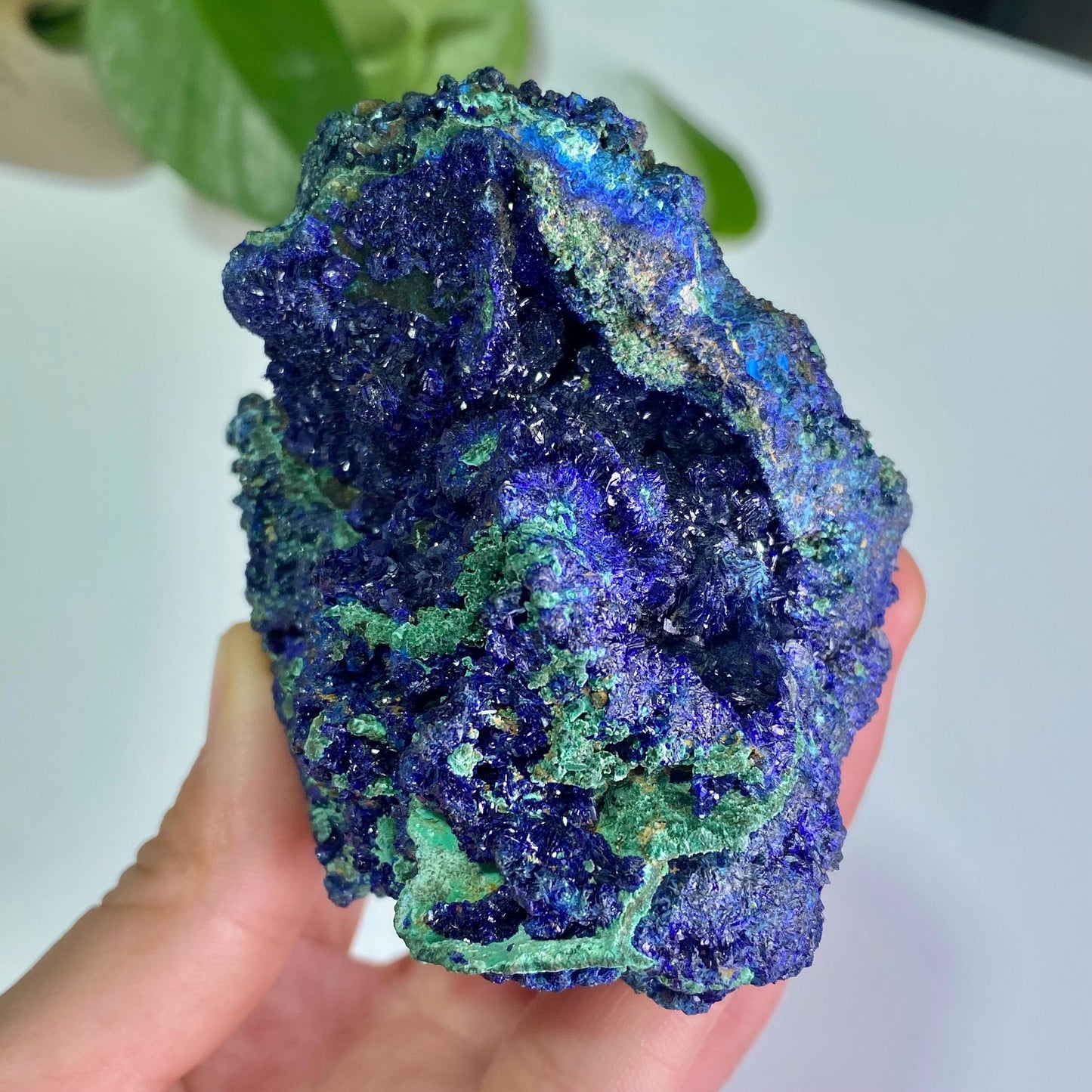 Azurite with Malachite Specimen, Blue Malachite Geode, Rare Minerals Collection,Gift for Mom