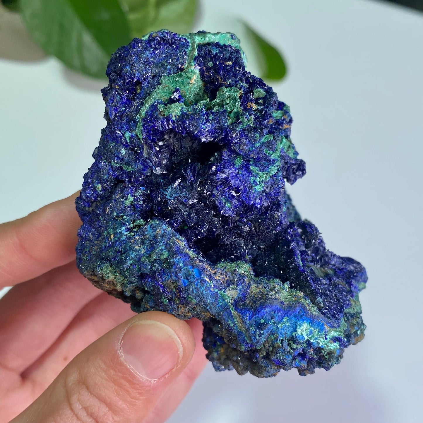 Azurite with Malachite Specimen, Blue Malachite Geode, Rare Minerals Collection,Gift for Mom