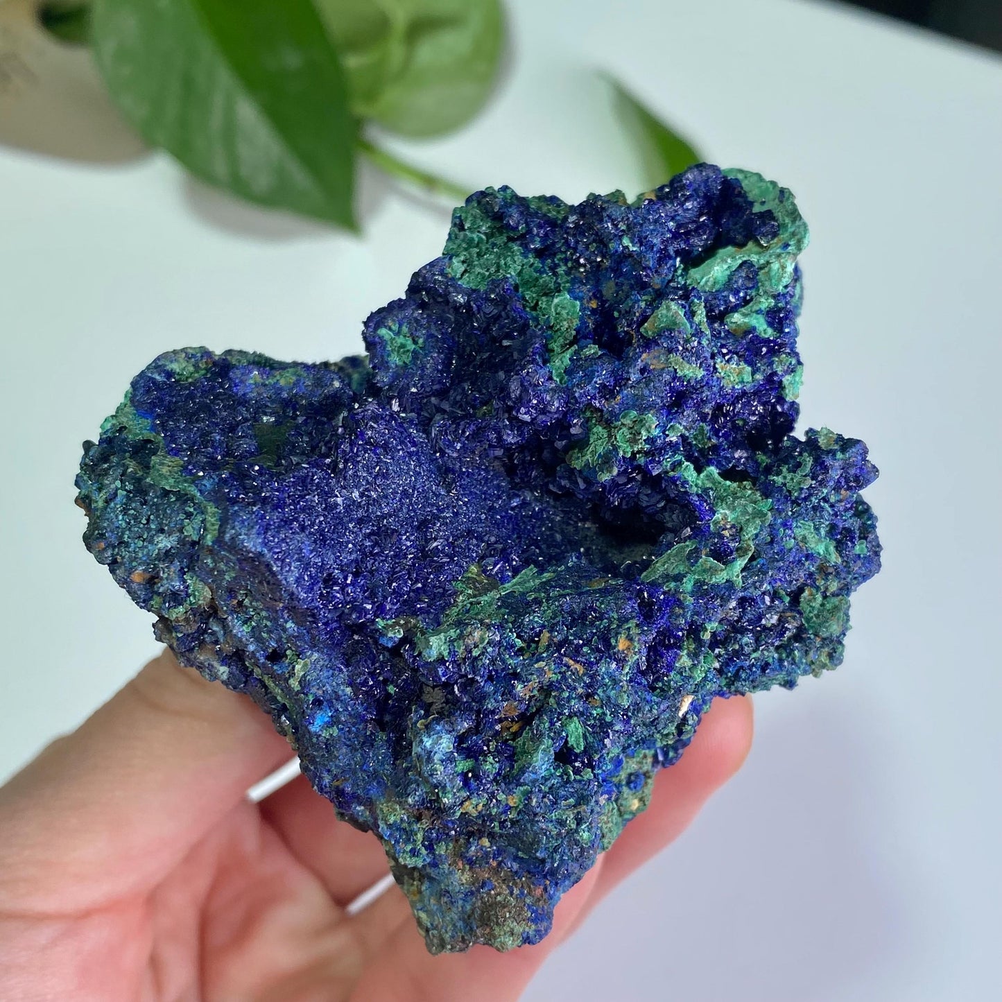 Azurite with Malachite Specimen, Blue Malachite Geode, Rare Minerals Collection,Gift for Mom