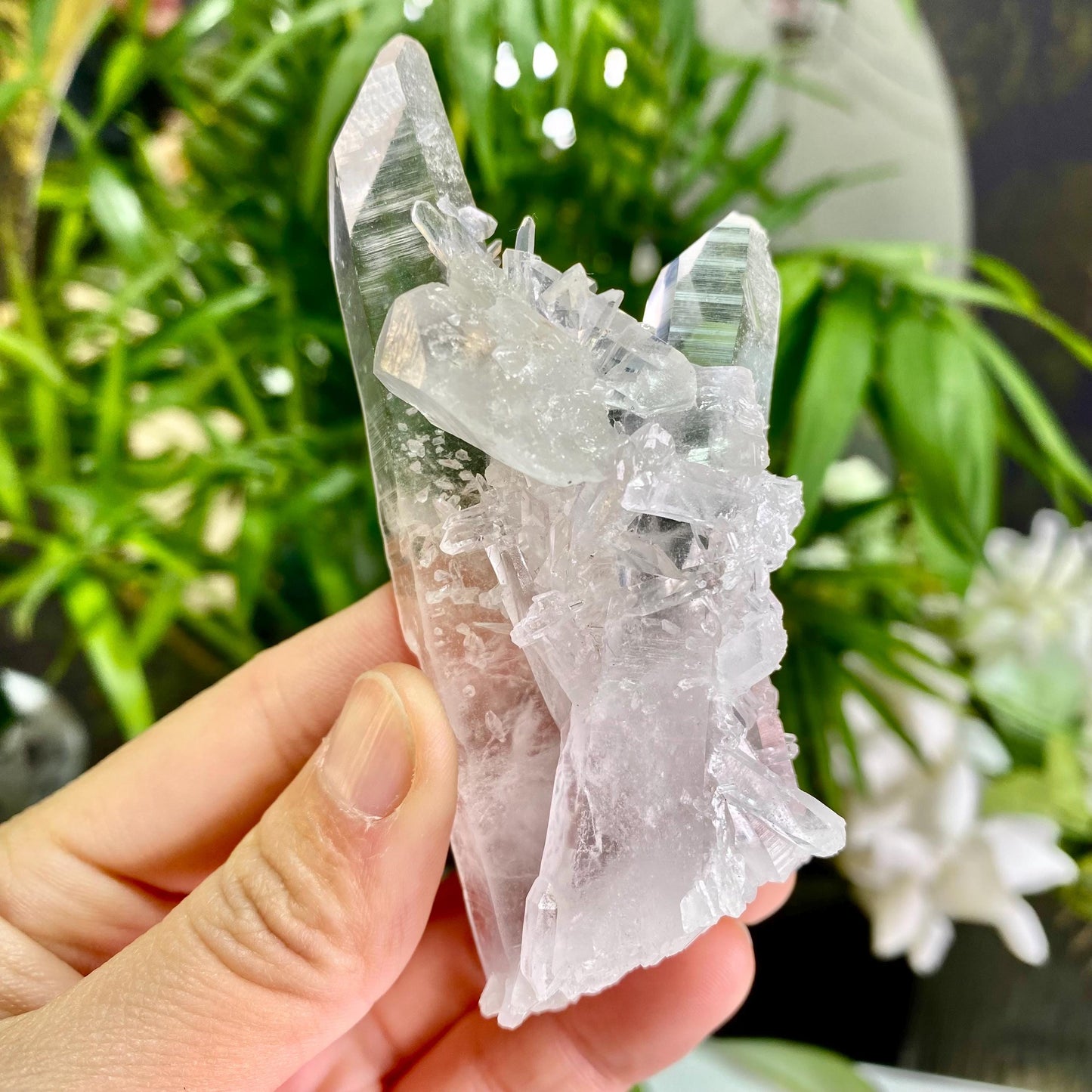 Natural Clear Quartz Cluster, Clear Quartz Flowers, Raw Crystal, Reiki Healing Spirituality Minerals, Crystal Collection, Gift for Her