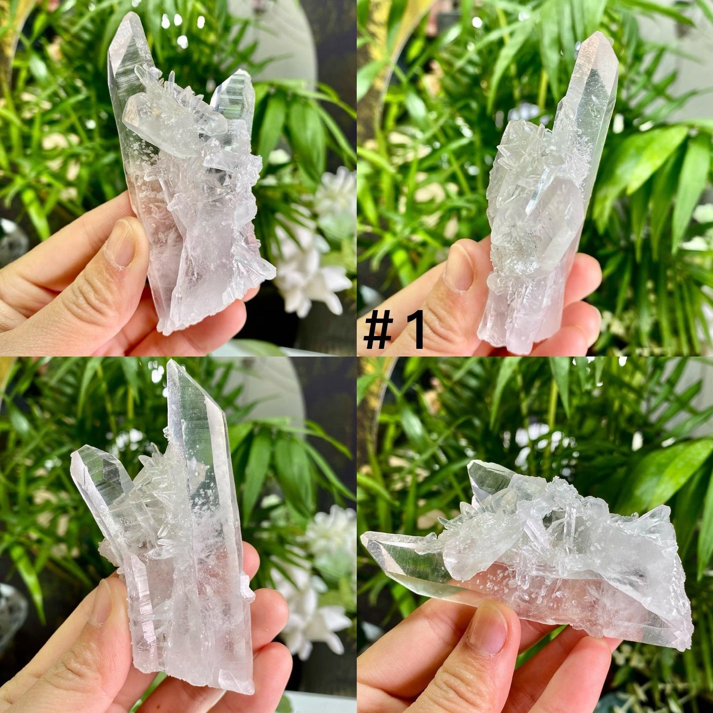 Natural Clear Quartz Cluster, Clear Quartz Flowers, Raw Crystal, Reiki Healing Spirituality Minerals, Crystal Collection, Gift for Her