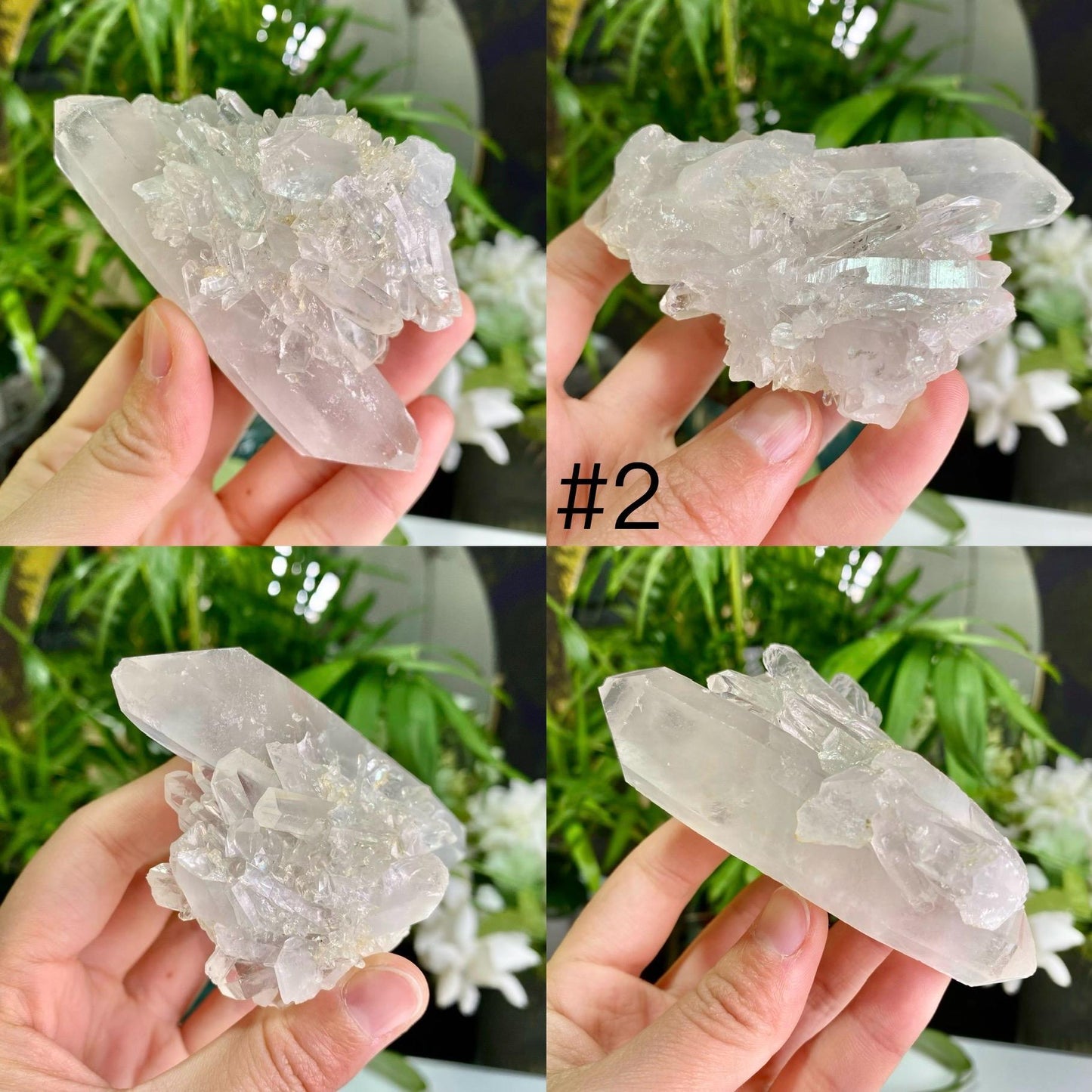 Natural Clear Quartz Cluster, Clear Quartz Flowers, Raw Crystal, Reiki Healing Spirituality Minerals, Crystal Collection, Gift for Her