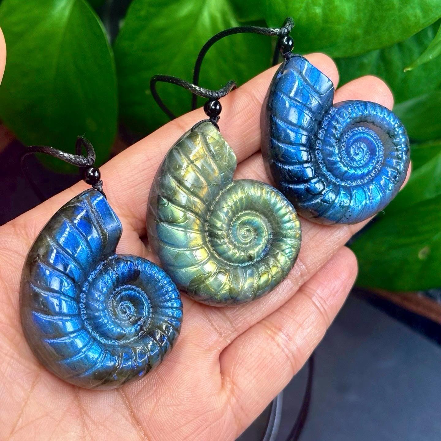 Hand-Carved Labradorite Seashell Pendant, Waxed Cord Choker