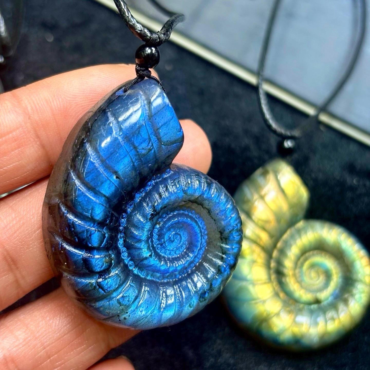 Hand-Carved Labradorite Seashell Pendant, Waxed Cord Choker