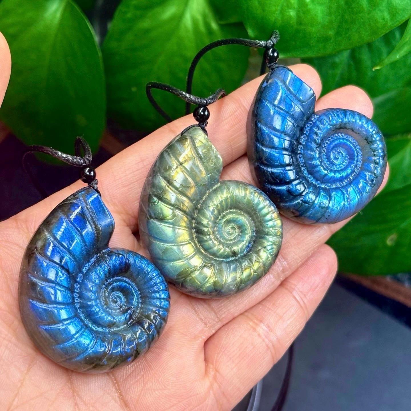 Hand-Carved Labradorite Seashell Pendant, Waxed Cord Choker
