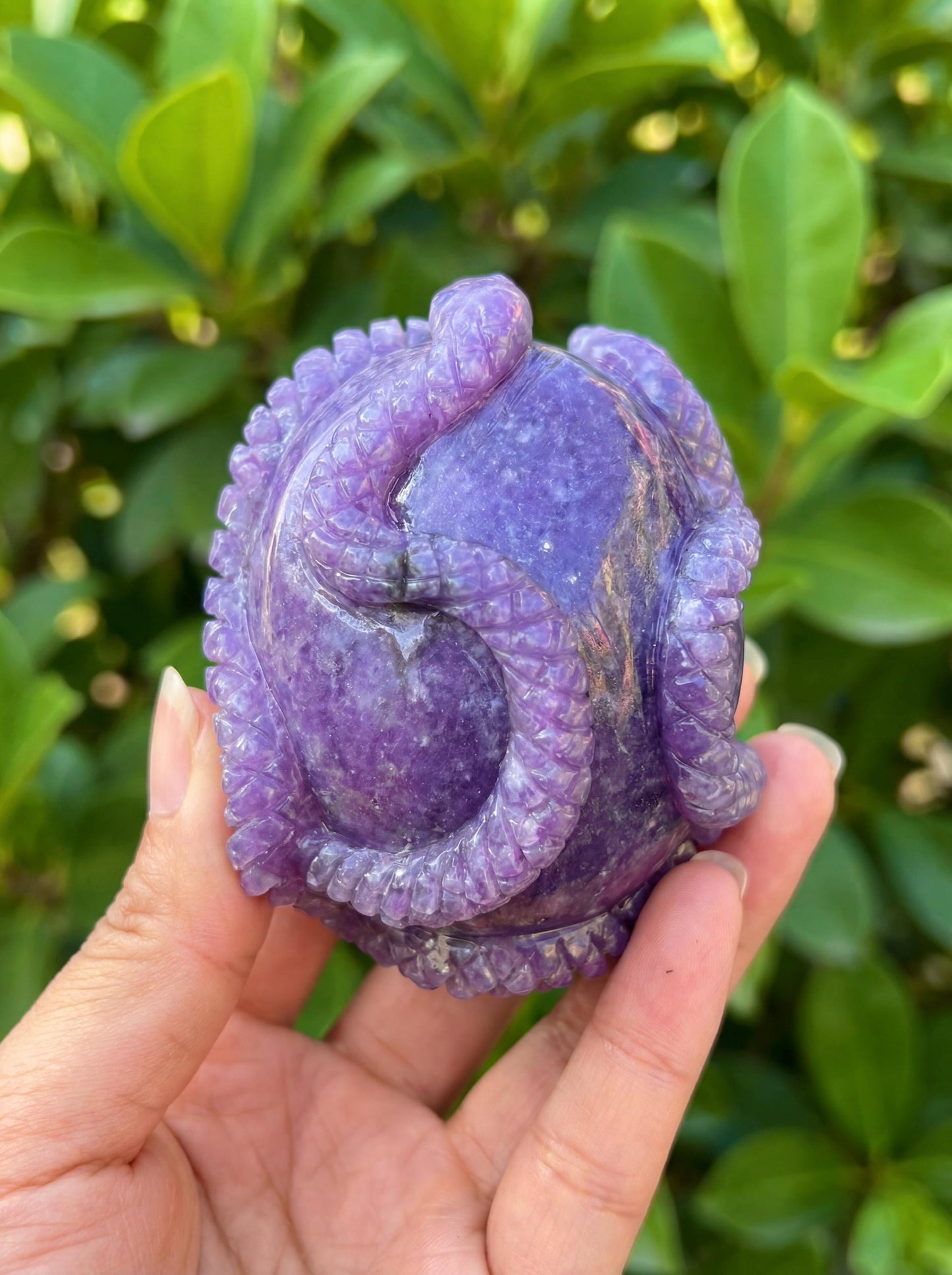 Lepidolite Crystal Skull with Carved Obsidian Snake