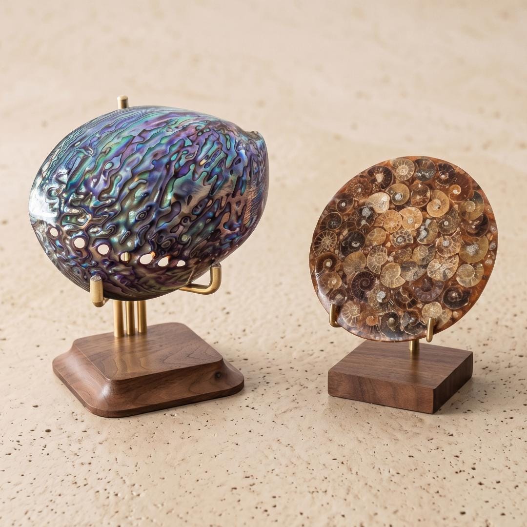Handmade Walnut Plate Stand, Brass Metal Easel for Fossils & Large Geodes, Decorative Dish Holder, Tabletop Sign Holder Photography Props