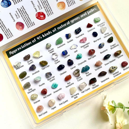 Raw Crystal Collection Box, 5 Mixed Mineral Specimens, Natural Gemstone Identification Set, Educational Geology Science Gift