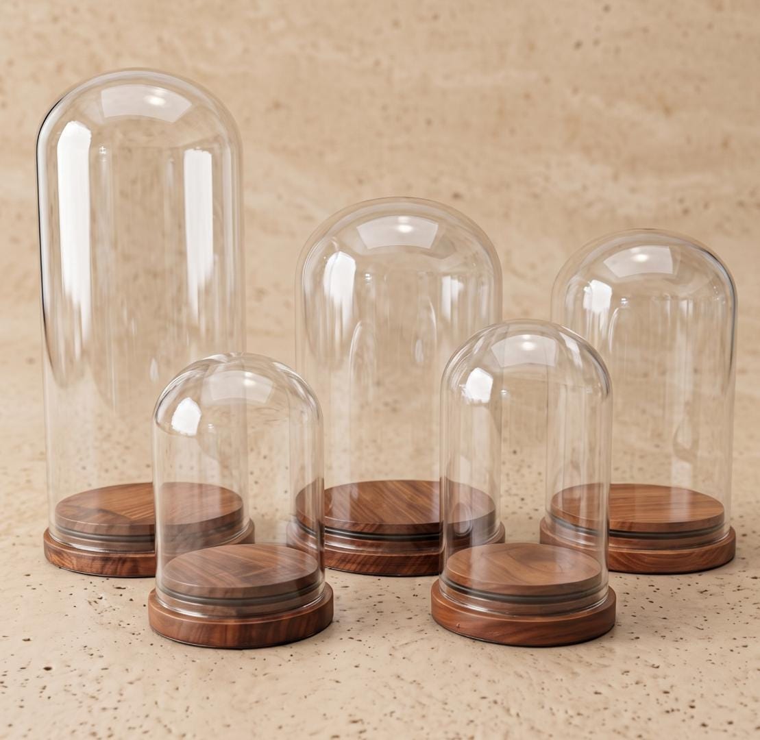 Custom Glass Cloche Dome with Wooden Base, Personalized Nameplate Display Case for Crystals Mineral Specimen, Preserved Flower Gift Stand