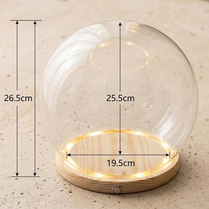 LED Light Up Glass Cloche Dome, Wooden Display Base, Crystal Specimen Stand, Preserved Flower Glass Cover Gift, Custom Engraved