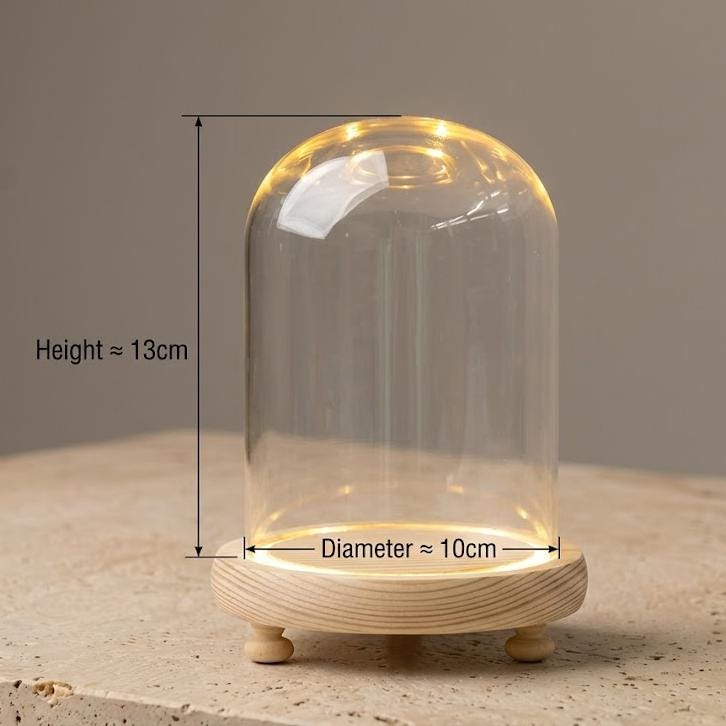 LED Light Up Glass Cloche Dome, Wooden Display Base, Crystal Specimen Stand, Preserved Flower Glass Cover Gift, Custom Engraved