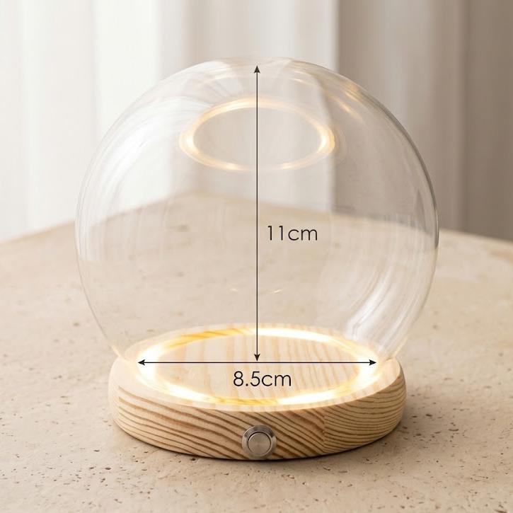 LED Light Up Glass Cloche Dome, Wooden Display Base, Crystal Specimen Stand, Preserved Flower Glass Cover Gift, Custom Engraved