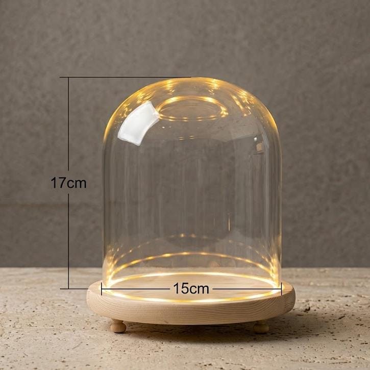 LED Light Up Glass Cloche Dome, Wooden Display Base, Crystal Specimen Stand, Preserved Flower Glass Cover Gift, Custom Engraved