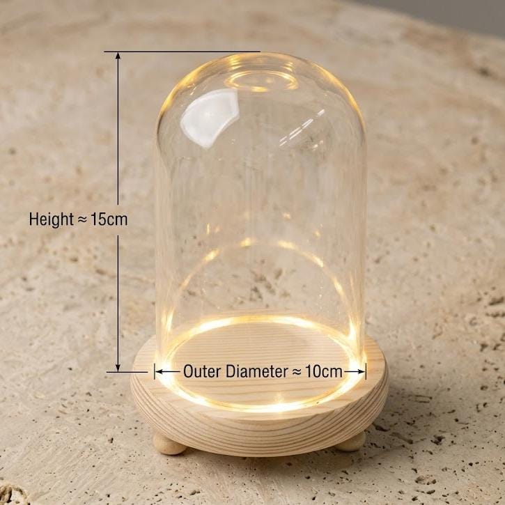 LED Light Up Glass Cloche Dome, Wooden Display Base, Crystal Specimen Stand, Preserved Flower Glass Cover Gift, Custom Engraved