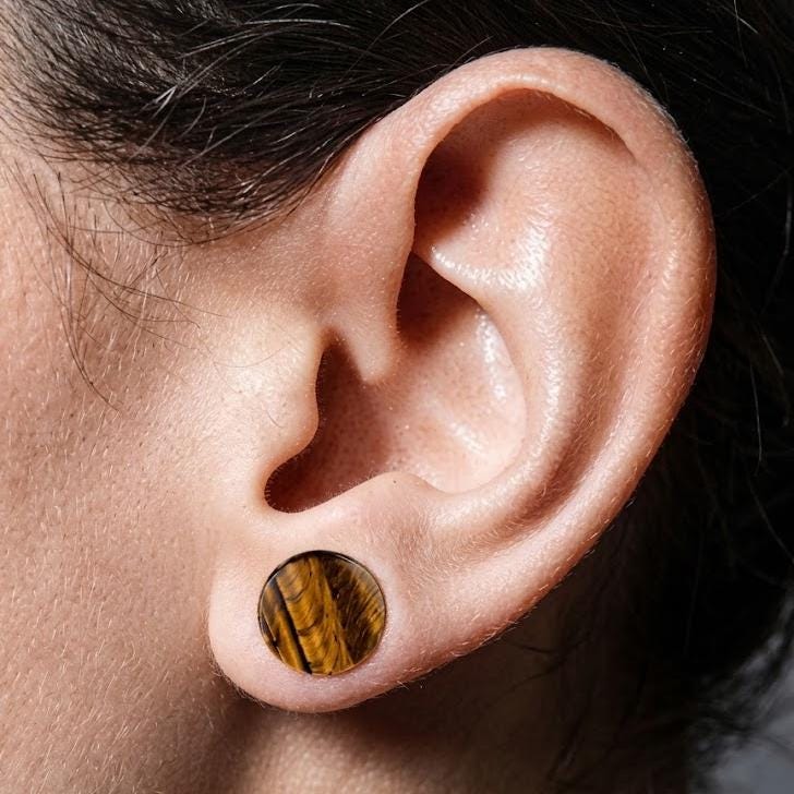 Natural Stone Plugs Double Flare, Tiger Eye Snowflake Obsidian Ear Gauges, Body Jewelry Gift