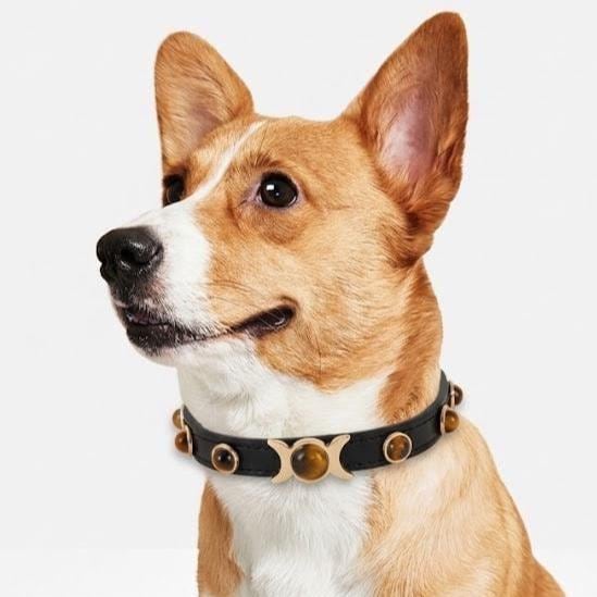 Tiger Eye Gemstone Dog Collar, Luxury PU Leather Pet Necklace, Cat Safety Collar, Unique New Pet Gift Gear